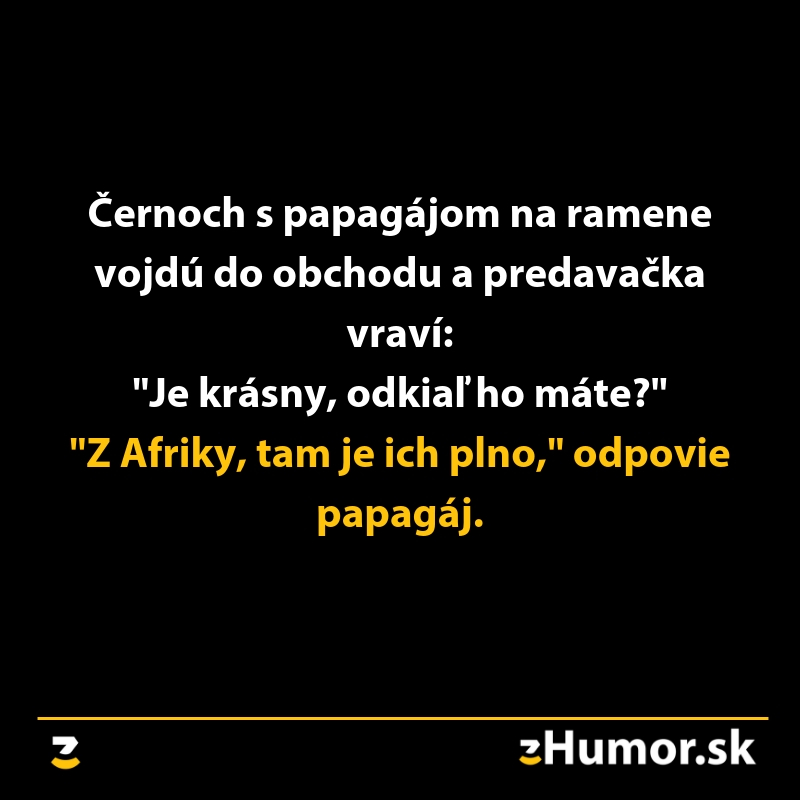 Obrázok s textovým vtipom o papagájovi a jeho pôvode z Afriky.