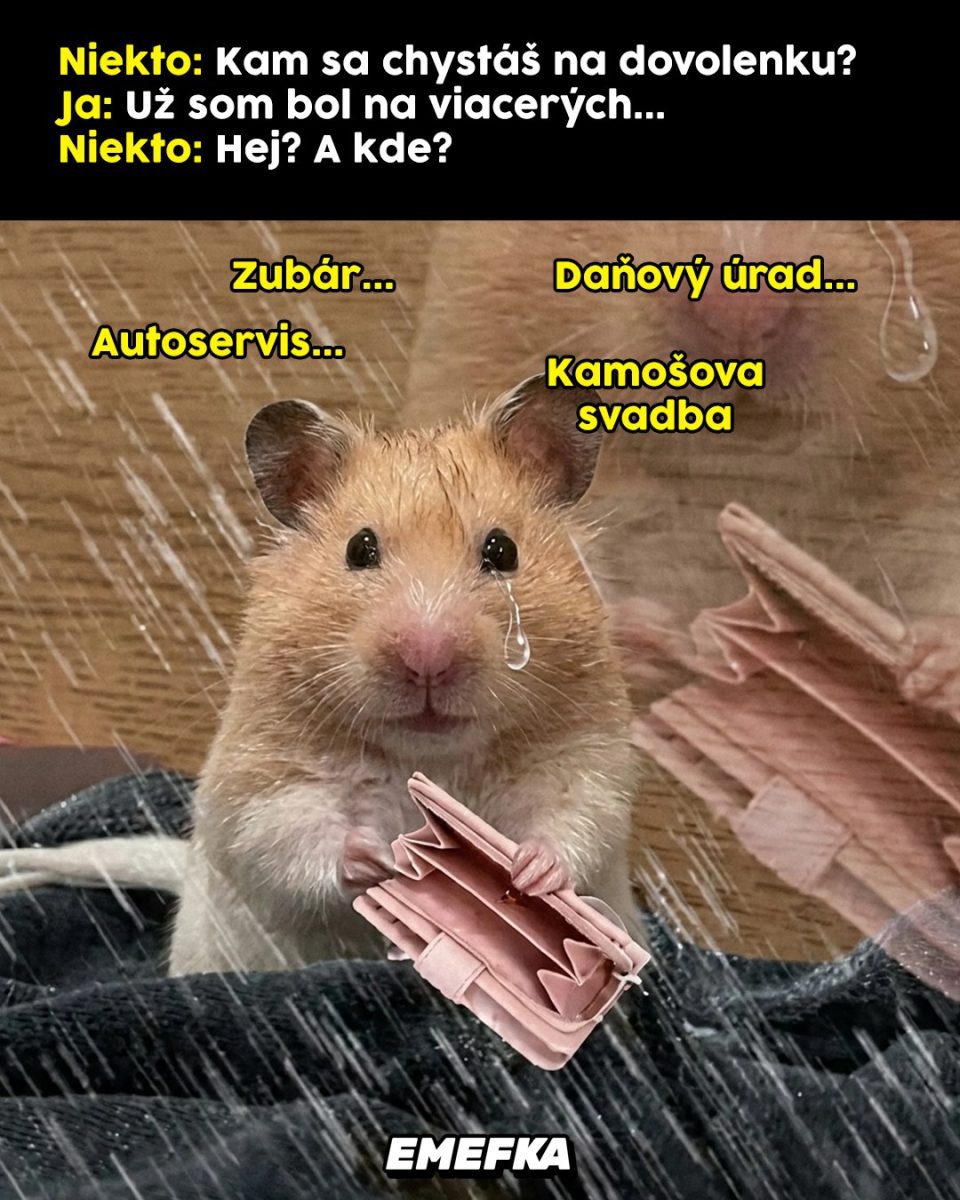 Chúďa škrečok s prázdnou peňaženkou a slzami v očiach ironizuje náklady na život.