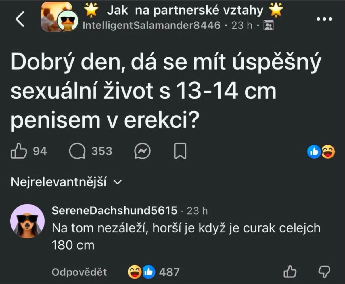 Diskusia o vplyve veľkosti penisu na kvalitu sexuálneho života v online komentároch.