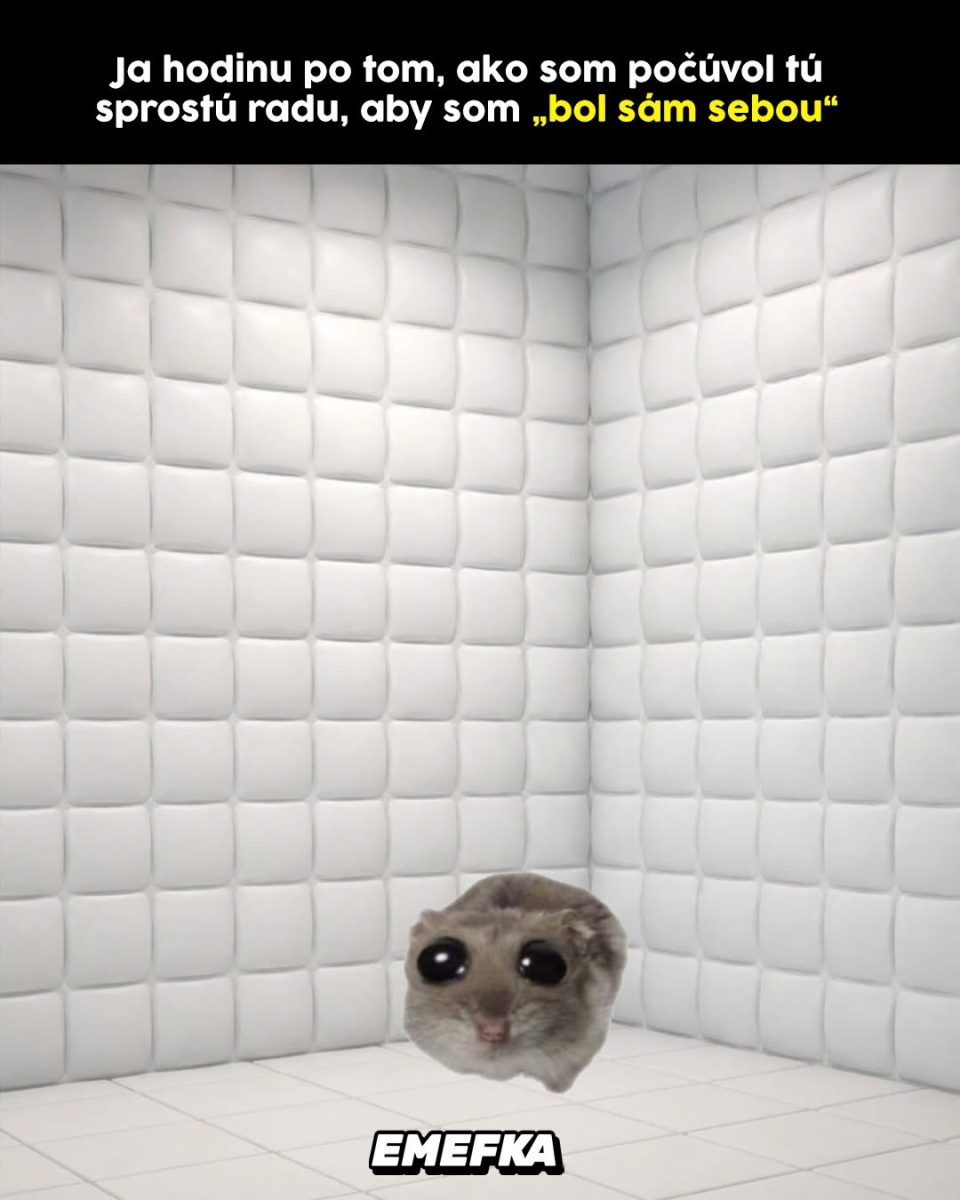 Hamster vo vystlanom miestnosti ako reakcia na radu byť sám sebou.