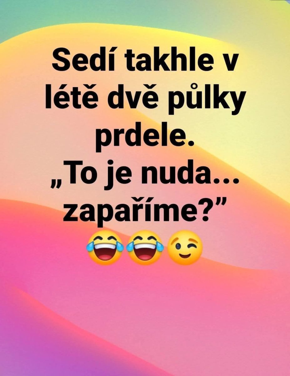 Obrázok so vtipným textom o dvoch polovičkách, ktoré sa chcú zabaviť v lete, s farebným pozadím a emotikonmi.