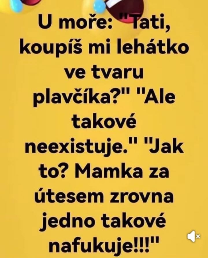 Vtipný text o dieťati, ktoré chce ležadlo tvaru plavčíka, ale také neexistuje. S narážkou na matku nafukujúcu ležadlo.
