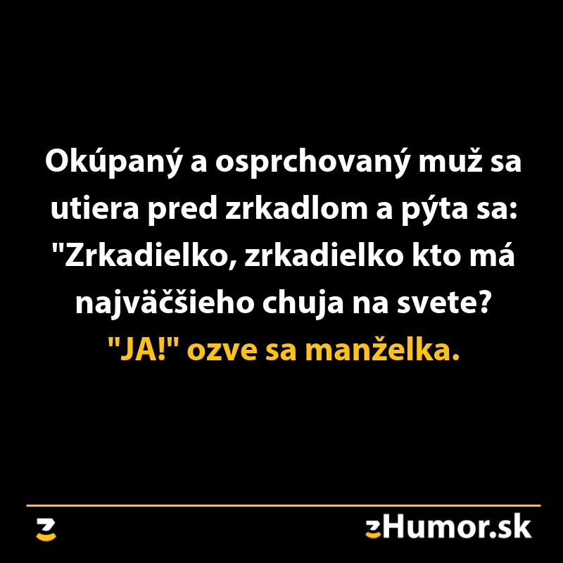Vtip o mužovi pred zrkadlom a odpovedi manželky v humornom kontexte.