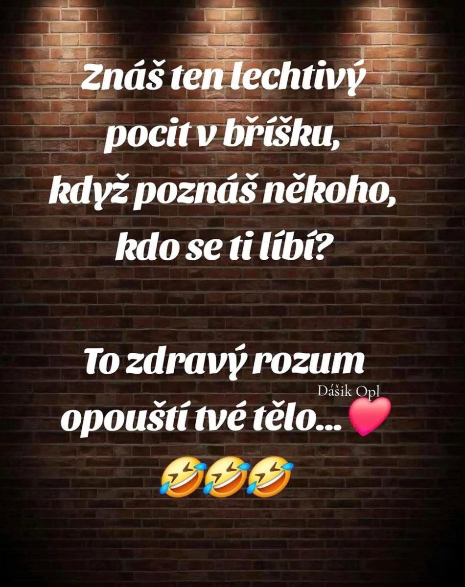 Citát o pocite, keď niekoho zamilovanie ovplyvní rozum, na tehlovom pozadí s emotikonami smiechu a srdca.