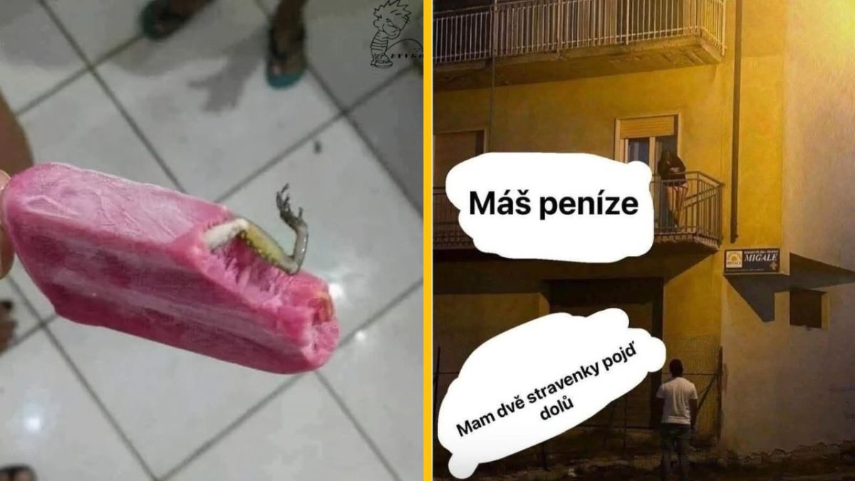 Ľadový nanuk s prekvapením žabieho nohy; vtipná konverzácia zoči-voči na balkóne o peniazoch a stravenkách.