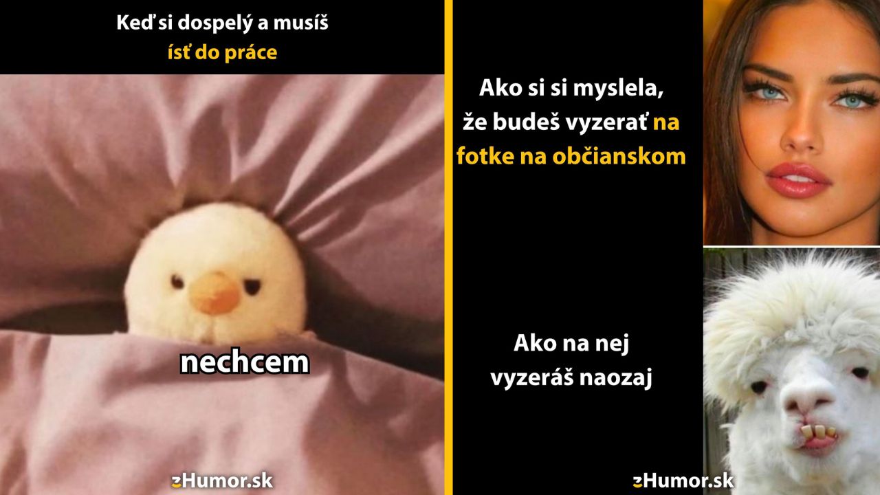 Vtipný meme obrázok o práci a očakávaniach, obsahujúci obrázok zvieraťa a portrét ženy.
