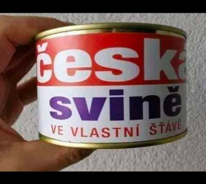 Konzerva s nápisom česká svině ve vlastní šťávě držiaca v ruke proti bielej stene.