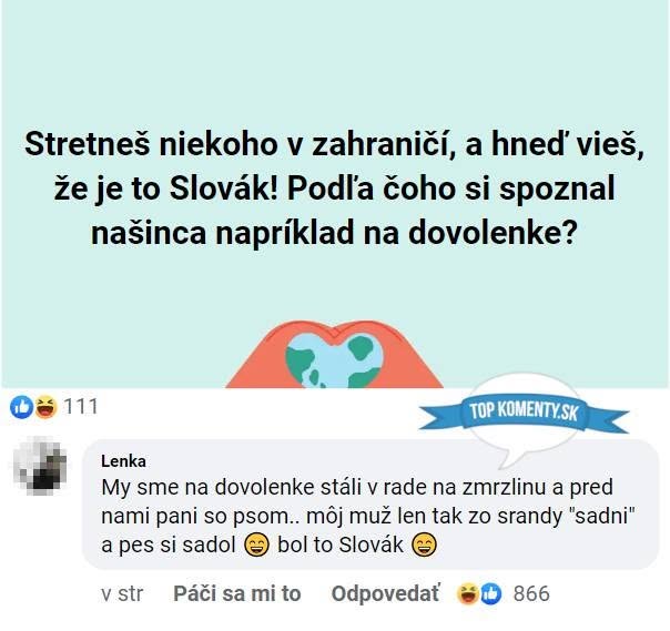 Slovák na dovolenke: Pes poskladal príkaz po slovensky, všetci sa smiali. Zábavná situácia s jazykom!