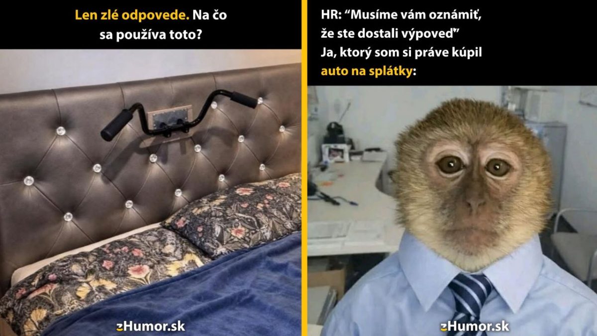 Obrázok humorne zobrazuje rôzne použitia predmetov na stene a komickú reakciu opice na výpoveď.