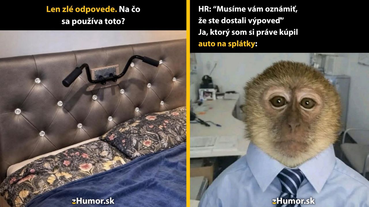 Obrázok humorne zobrazuje rôzne použitia predmetov na stene a komickú reakciu opice na výpoveď.