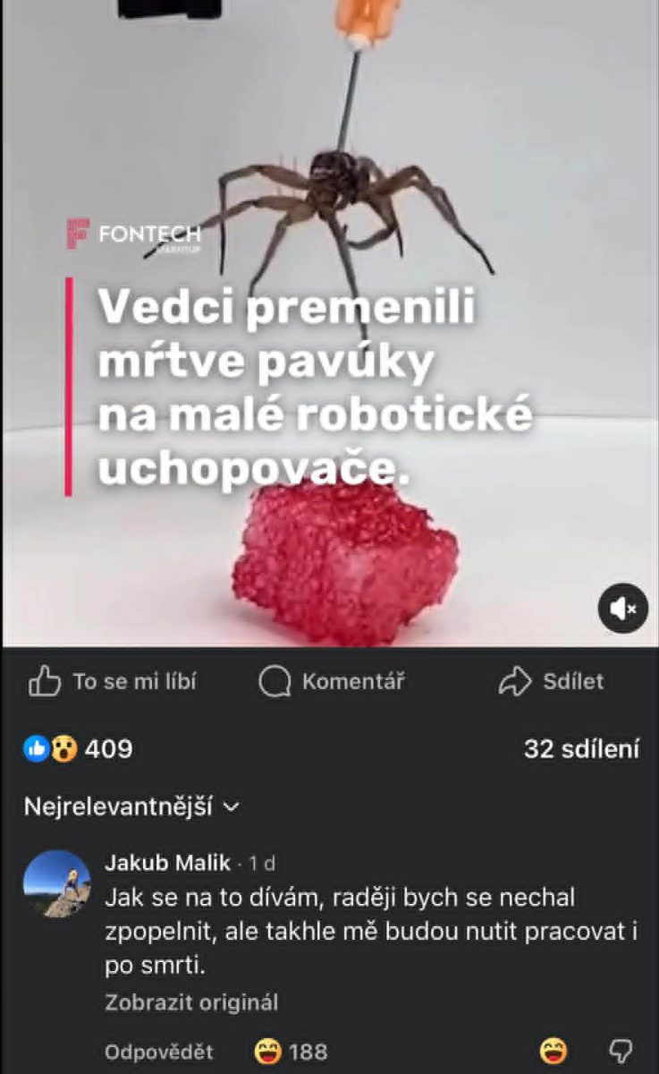 Mŕtvy pavúk slúži ako robotický uchopovač, prezentovaný vedcami pre technologický pokrok.