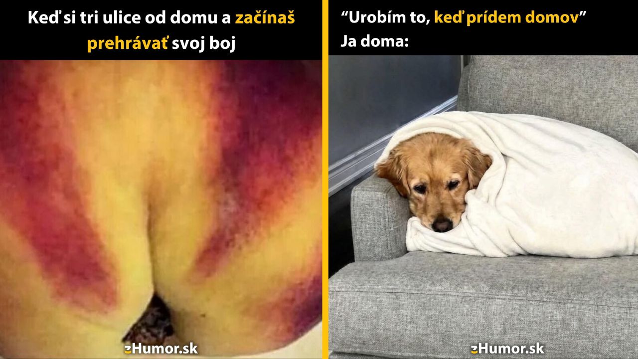 Pes zabalený v deke na sedačke porovnaný s unavenými nohami z behu.