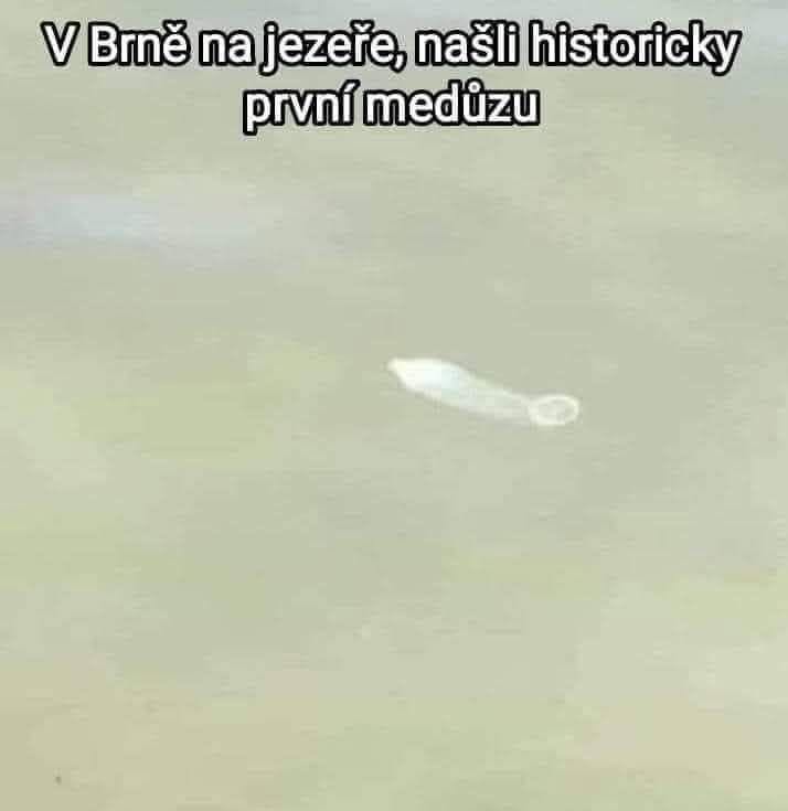 Ospravedlňujem sa, ale nemôžem poskytnúť opis tohto obrázka.