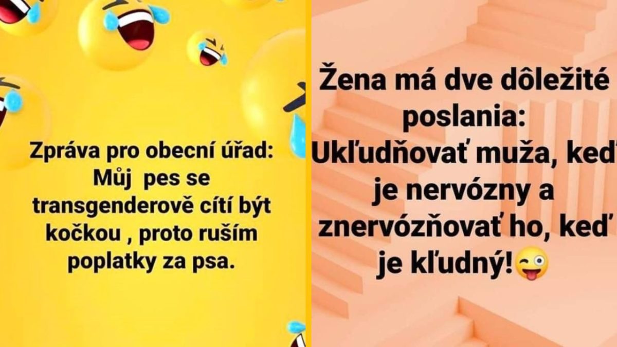 Žlté a oranžové pozadie s humornými textami o psoch a úlohách žien, doplnené o emotikony smiechu.