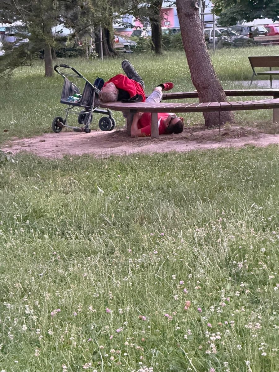 Dvojica odpočívajúca na lavičke v parku, s kočíkom vedľa, trávnatá plocha a stromy v pozadí.