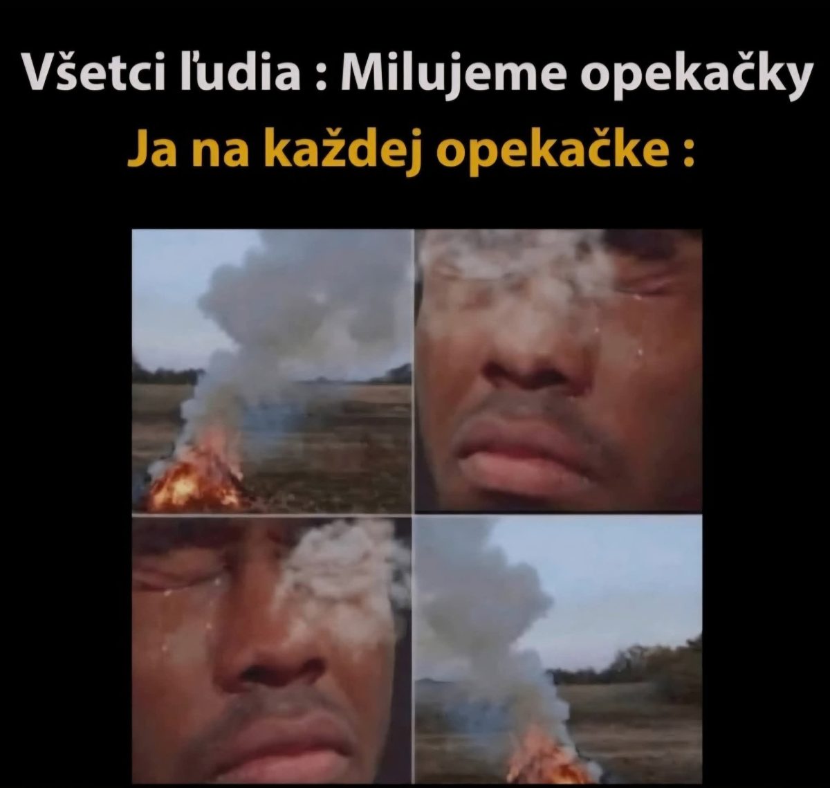 Osoba pri ohni s dymom v očiach, vtipná situácia na opekačke. Text: Všetci ľudia: Milujeme opekačky. Ja na každej opekačke: