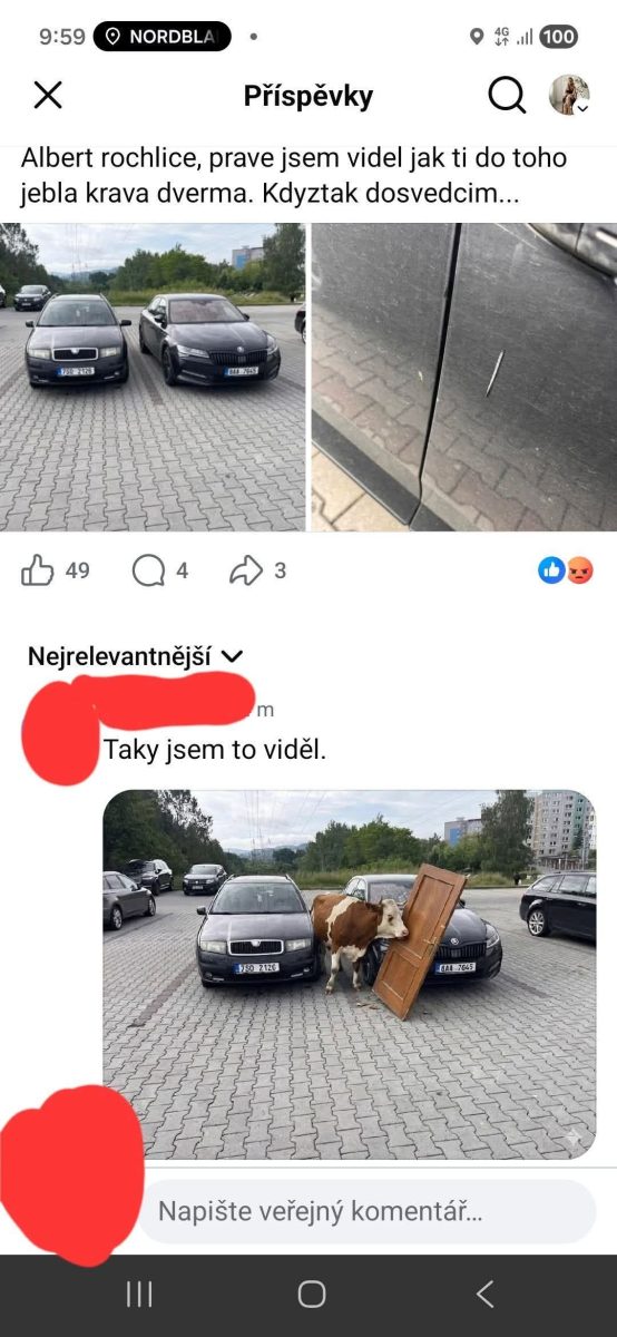Kráva s dverami poškodila auto na parkovisku medzi dvomi autami. Kuriózna situácia zachytená na fotografii.