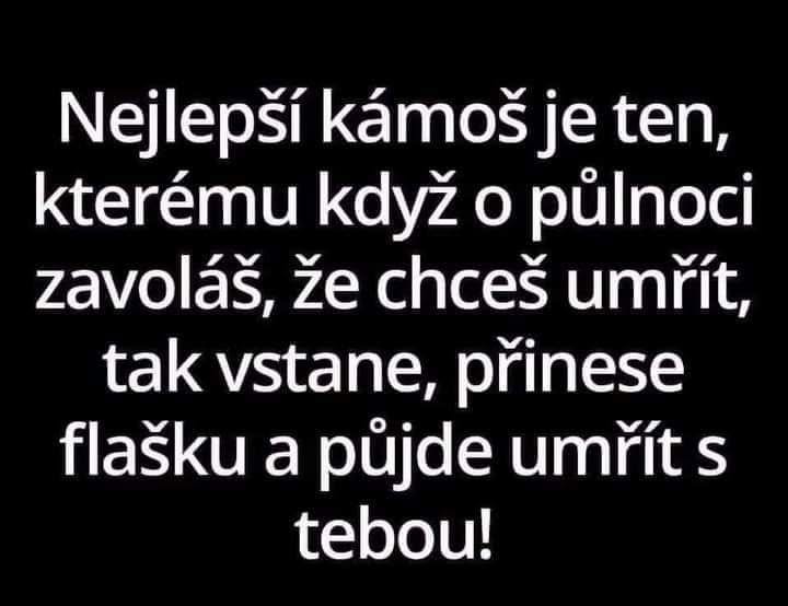 Citát o priateľstve: Najlepší kamarát je ten, kto ti je oporou aj v najťažších chvíľach.