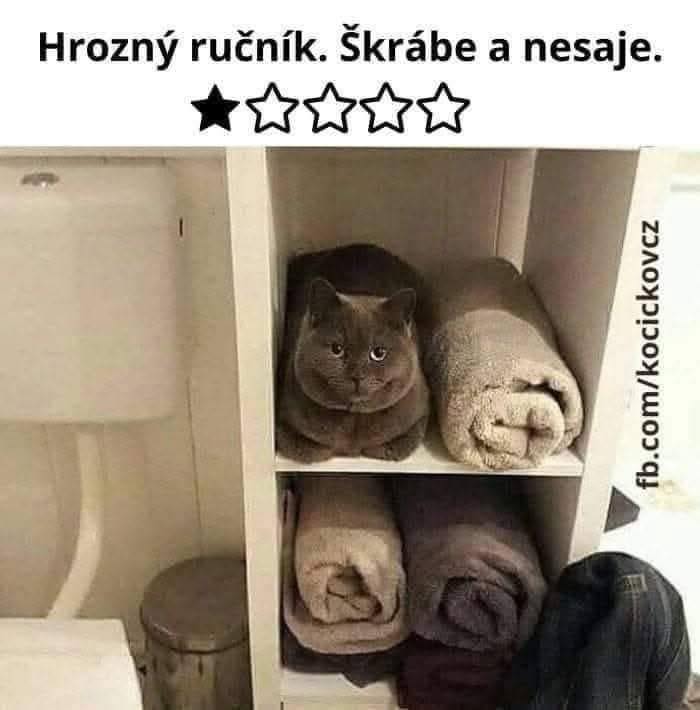 Mačka medzi uterákmi v poličke. Recenzia: „Škrabe a nesaje.“ Hodnotenie: 1 z 5 hviezdičiek.