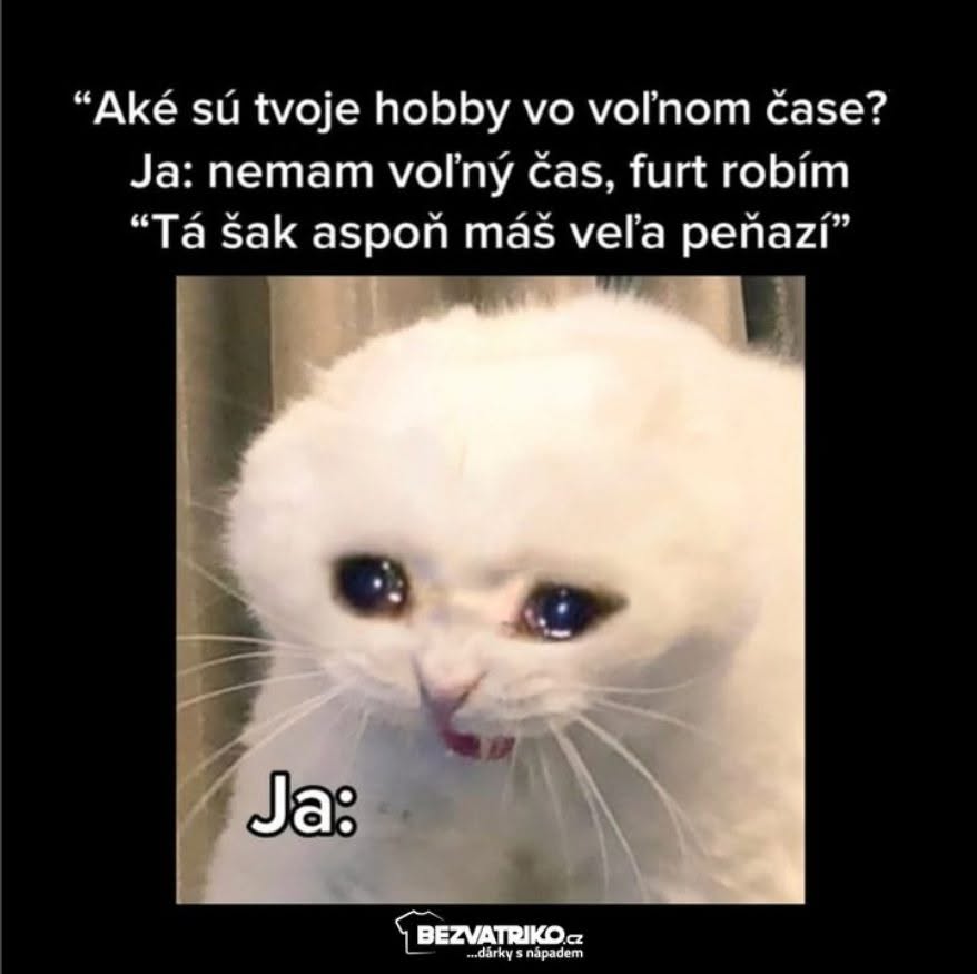 Smutná mačka s nápisom o nedostatku voľného času a peňazí. Text: Aké sú tvoje hobby vo voľnom čase? Ja: nemám voľný čas.