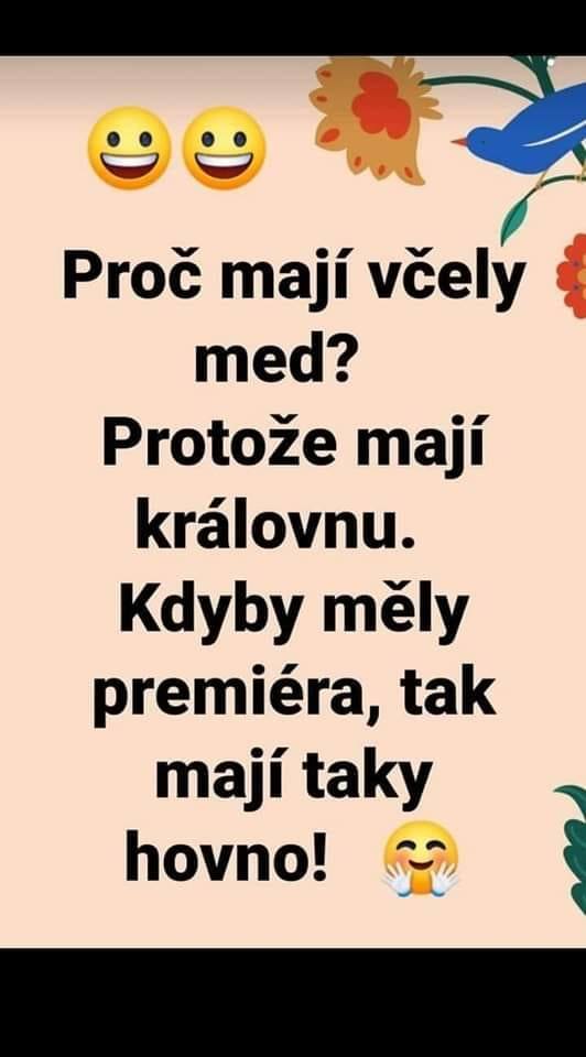 Textový vtip o tom, prečo majú včely med, kvôli kráľovnej, s humorným politickým komentárom o premiérovi.