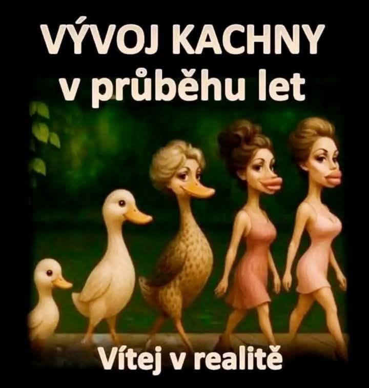 Vývoj káčerov cez roky zobrazený humoristicky: od mláďatka po dospelú ženu s kačacími rysmi, text Vítej v realitě.