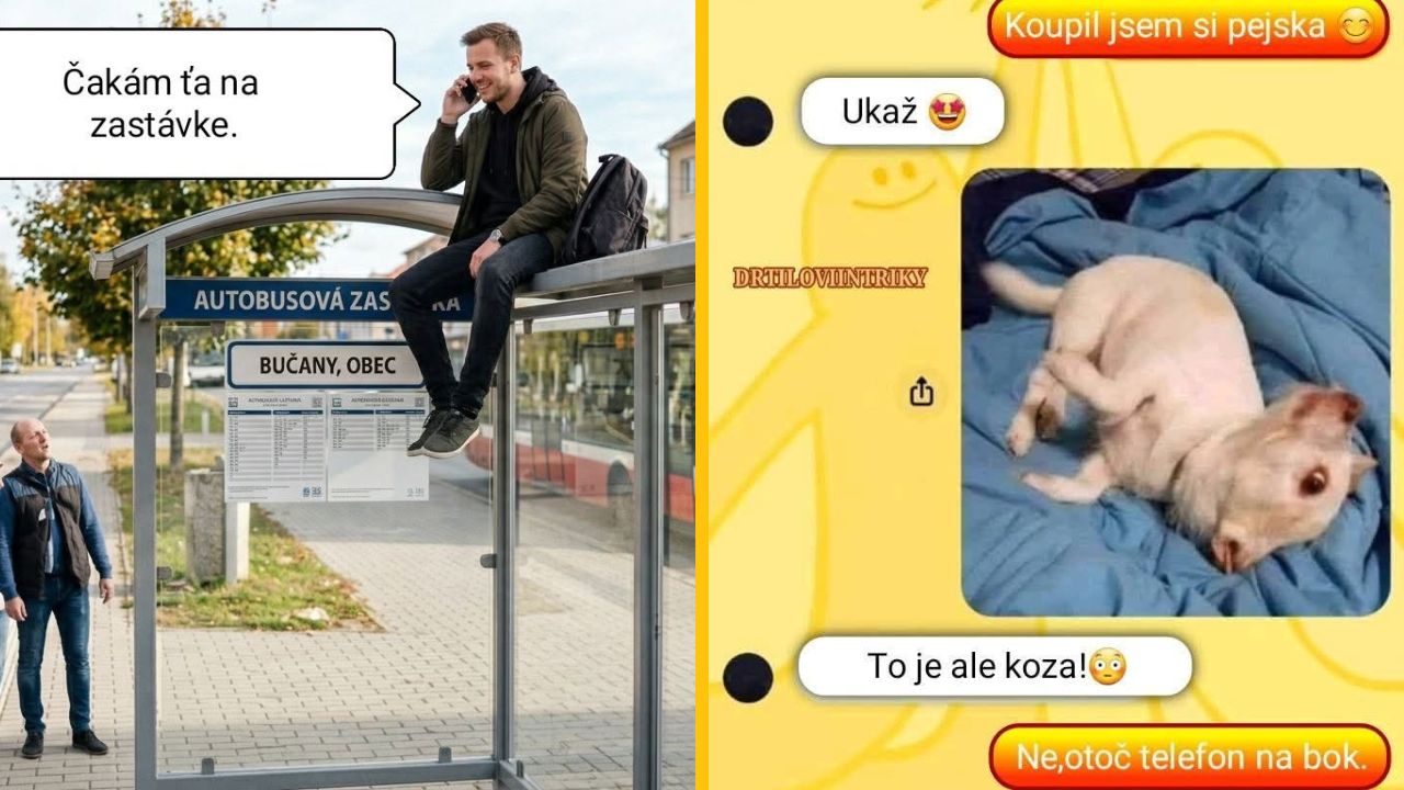 Muž sedí na streche autobusovej zastávky v Bučanoch, vtipná textová správa o otočení telefónu pre správny obrázok psa.