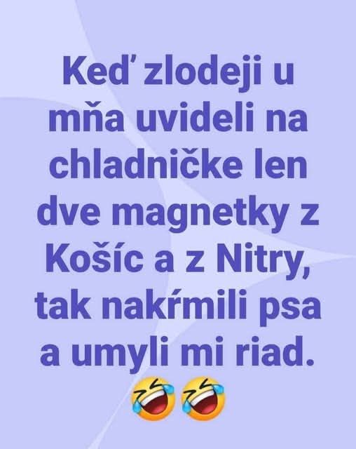 Vtipný nápis: Zlodeji videli na chladničke len magnetky, nakŕmili psa a umyli riad.