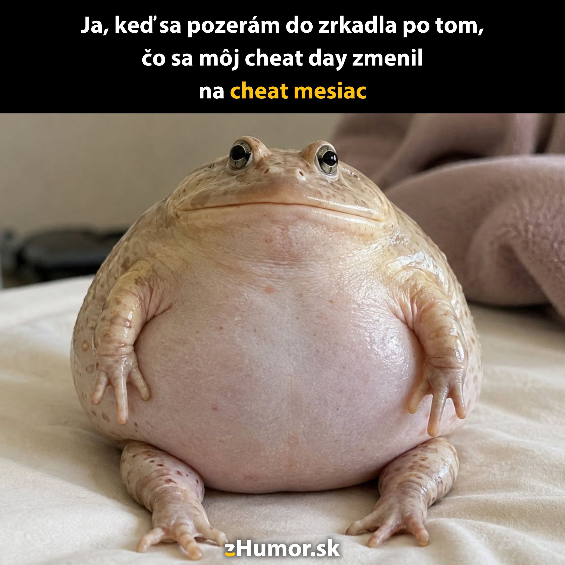 Žaba relaxuje na posteli s výrazom humornej reflexie.
