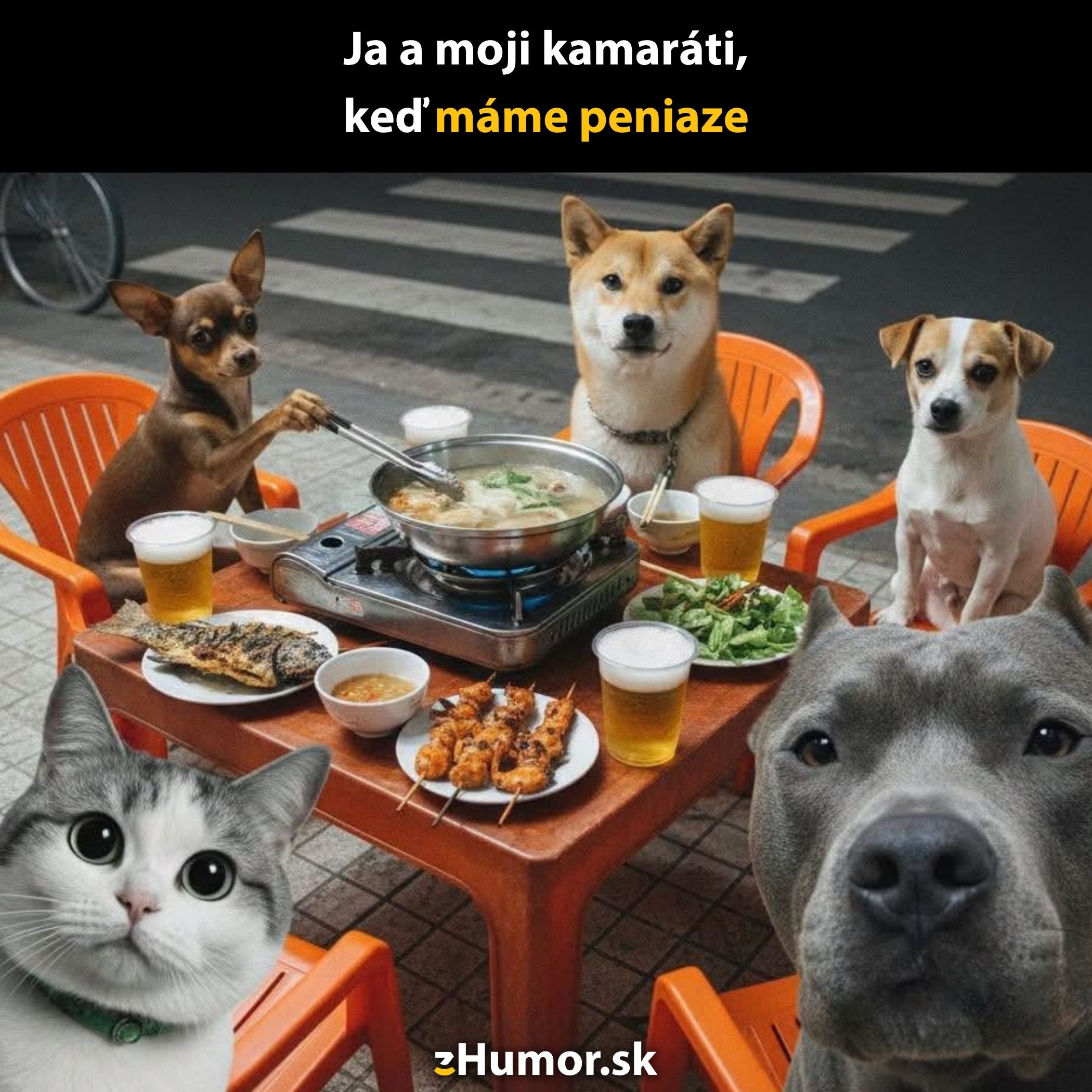 Psy a mačka pri stole s jedlom a pivom na terase, obrázok s humorným textom.