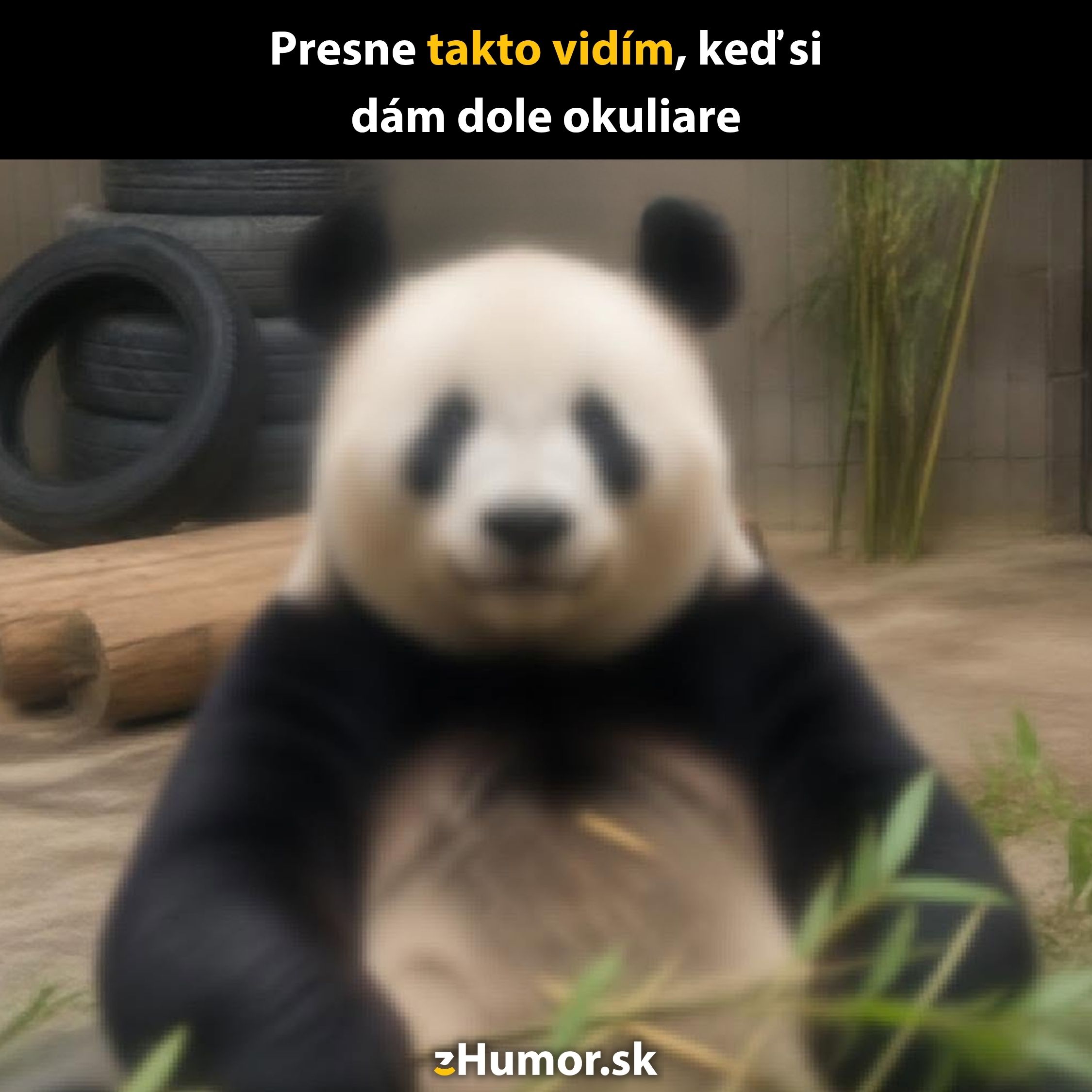 Rozmazaná panda v zoo, ktorá ilustruje pohľad bez okuliarov.