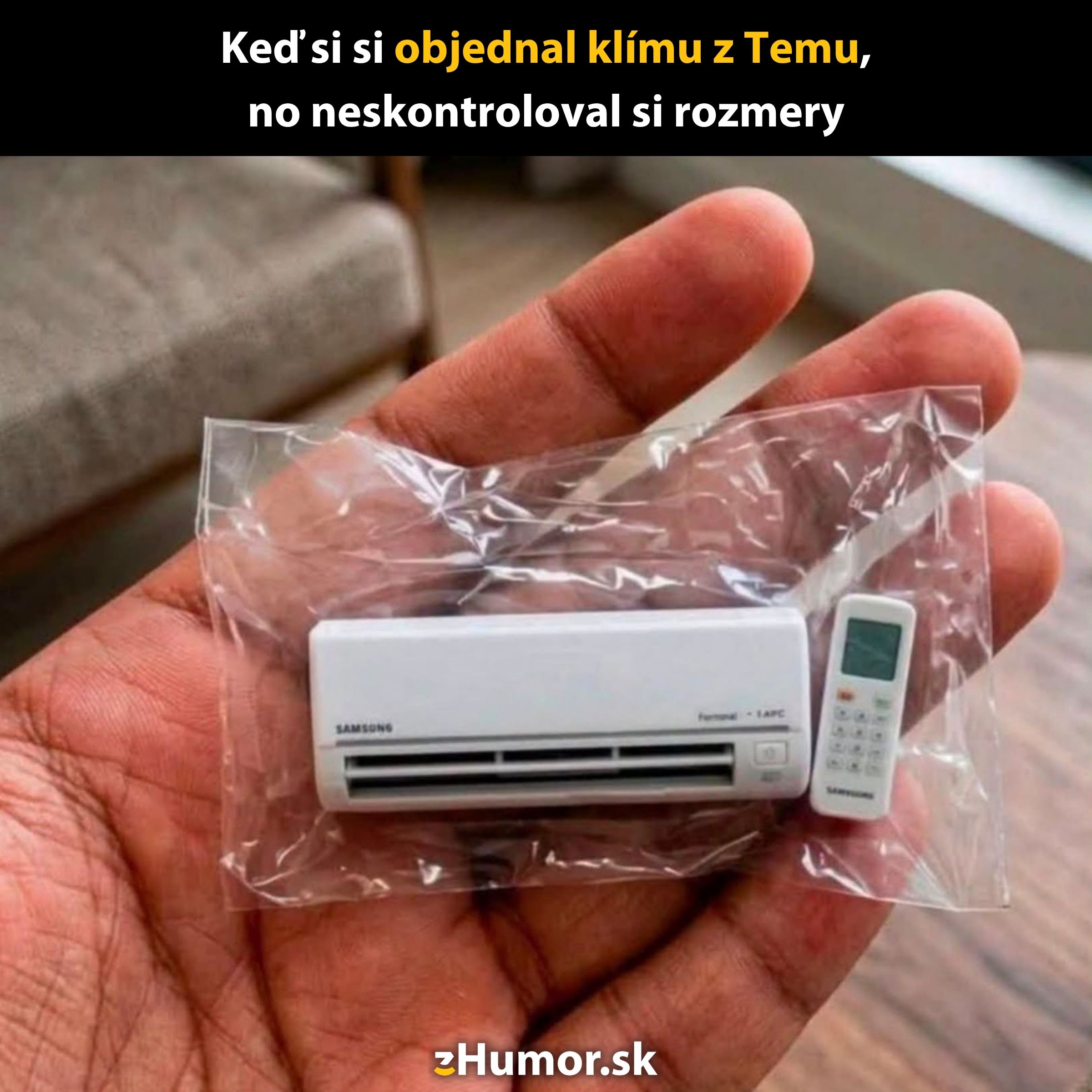 Miniatúrna klimatizácia a diaľkový ovládač v ruke pre vtip o veľkostnej objednávke z internetu.