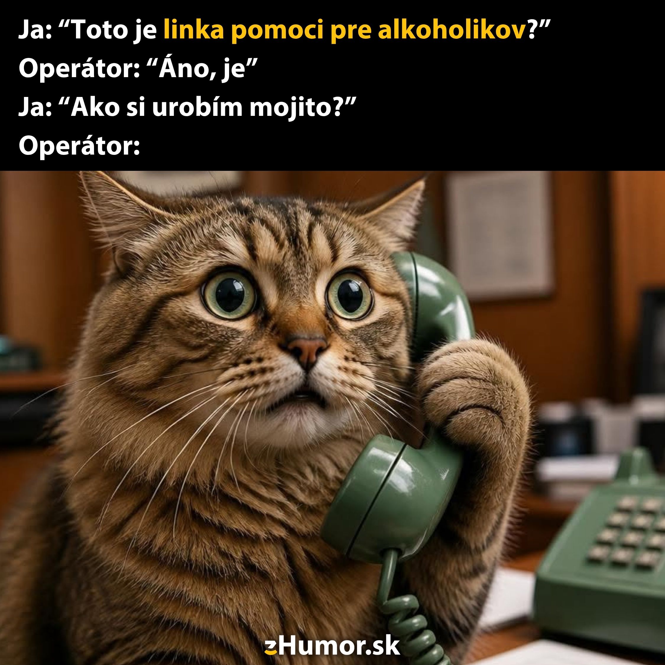 Mačka s telefónom v labke, zábavne dotazujúca na prípravu mojita, text v popredí.