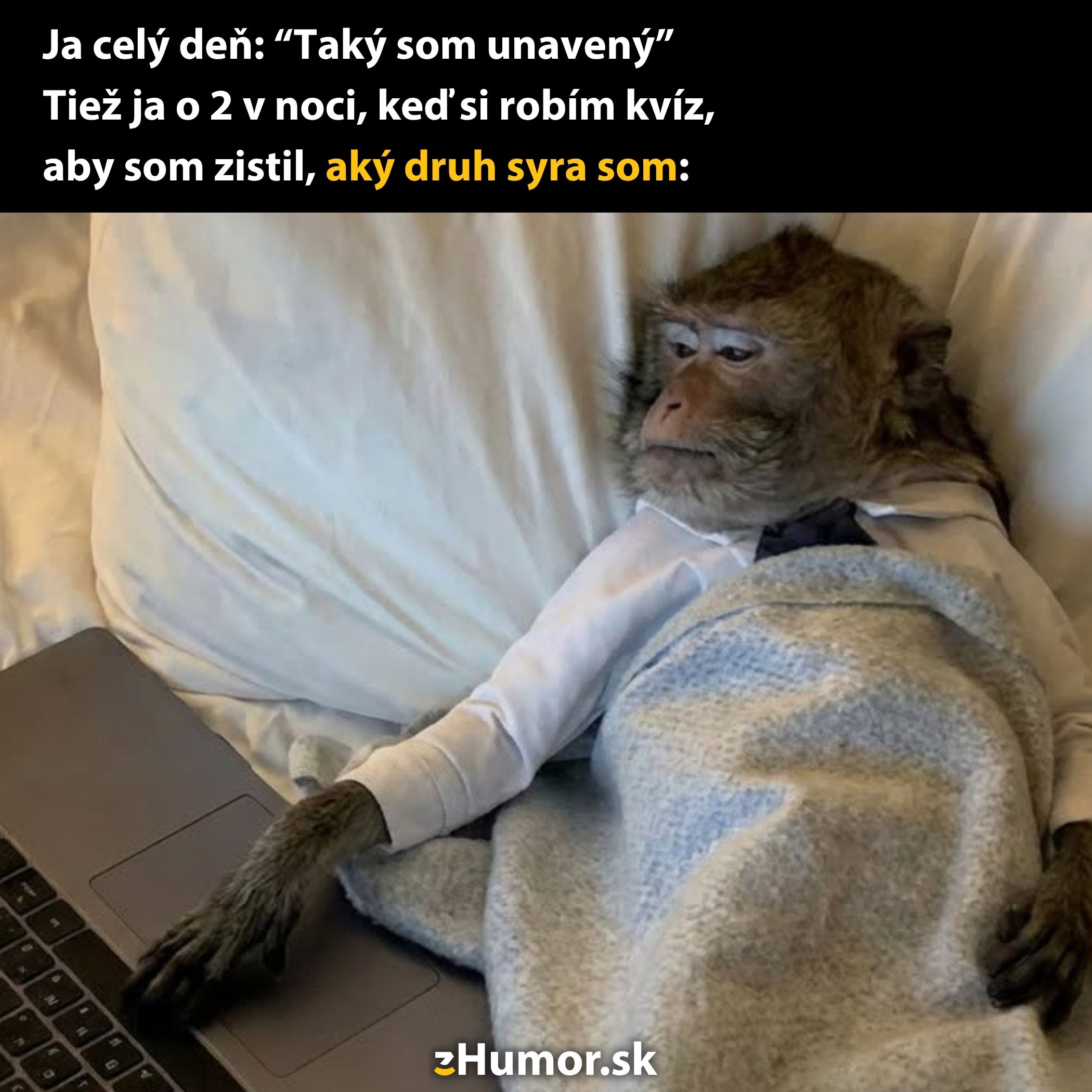 Opica v košeli leží v posteli, má unavený výraz a používa notebook na nočnú zábavu.