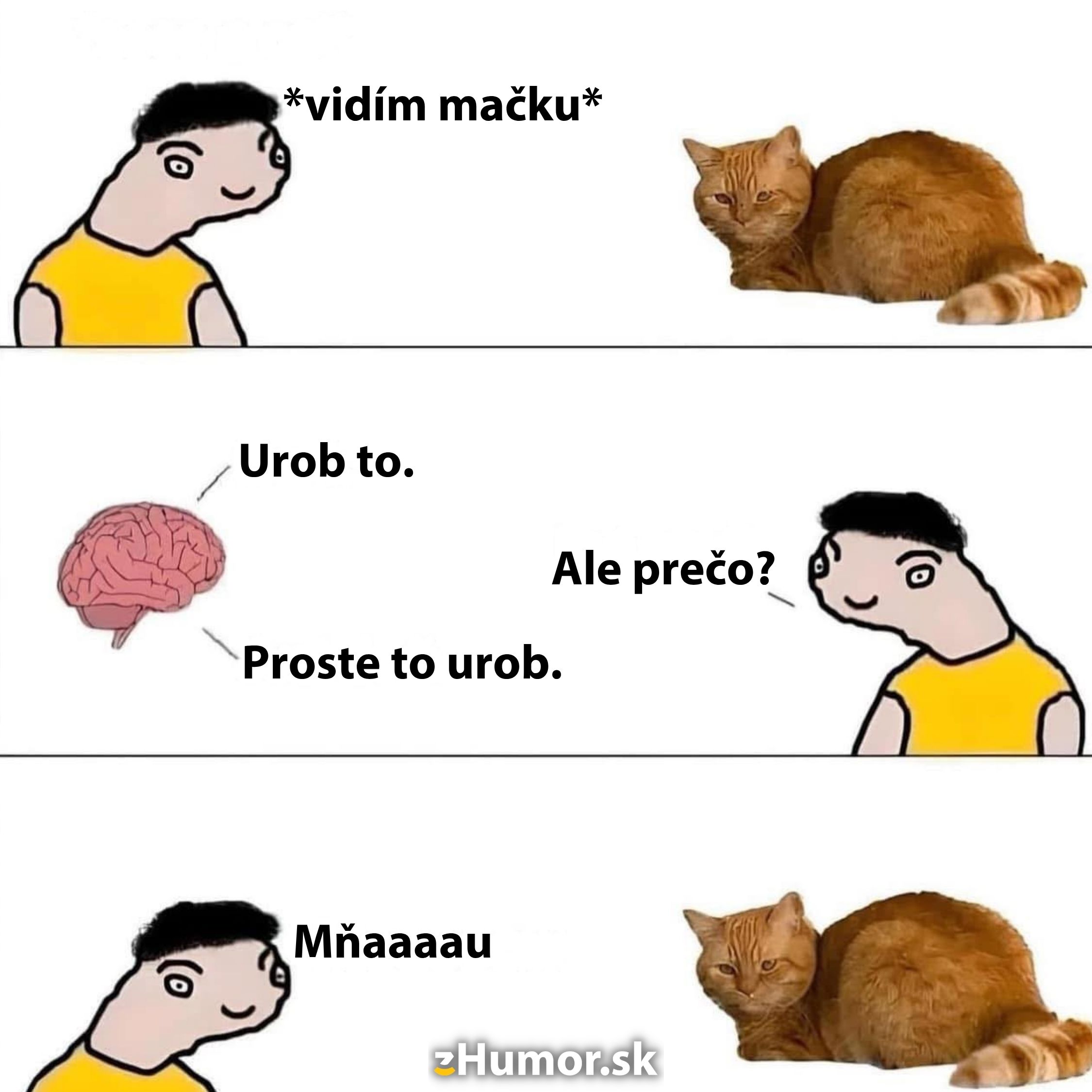 Obrázok meme s komickou myšlienkou: človek napodobňuje mačku pod nátlakom mozgu.
