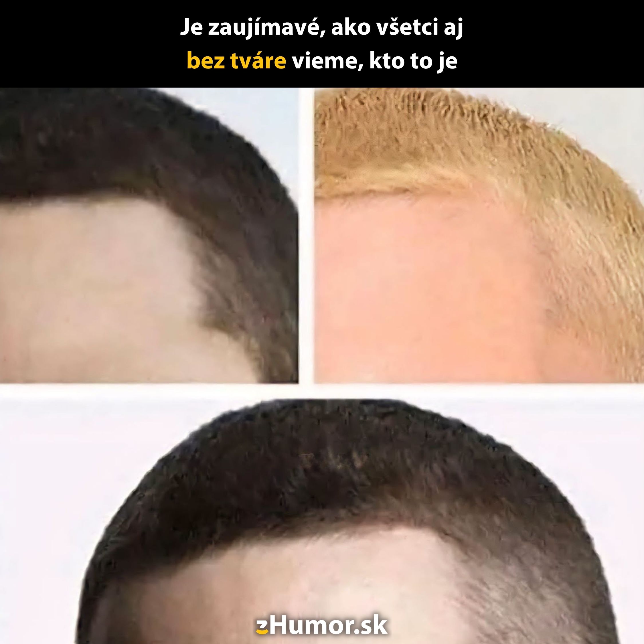 Tri účesy známych osôb bez tvárí s vtipným textom: Je zaujímavé, ako všetci aj bez tváre vieme, kto to je.