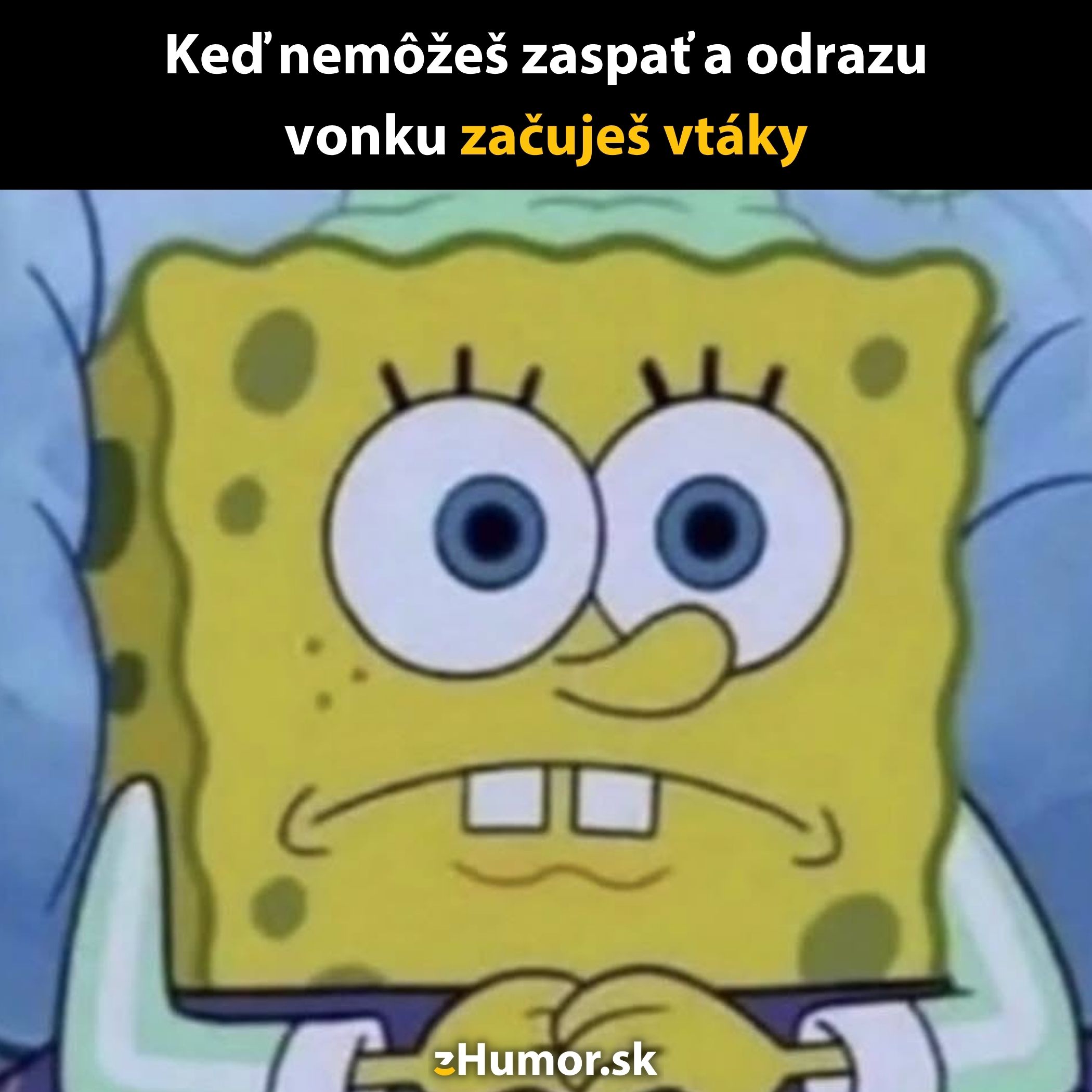 SpongeBob v posteli s prekvapeným výrazom, nemožnosť zaspať kvôli zvukom vtákov vonku.