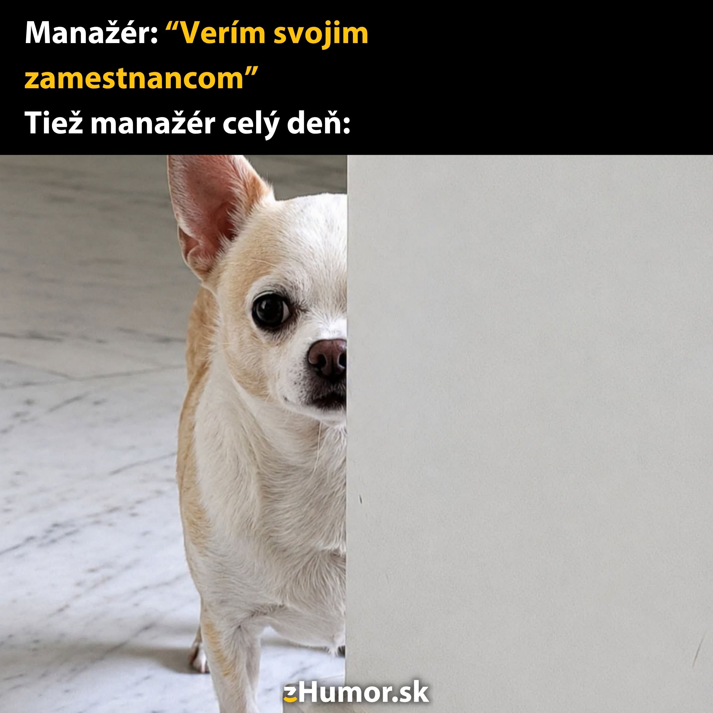 Pes vykukuje zpoza steny, s textom o manažérovi dôverujúcom zamestnancom, ale sledujúcom ich celý deň.