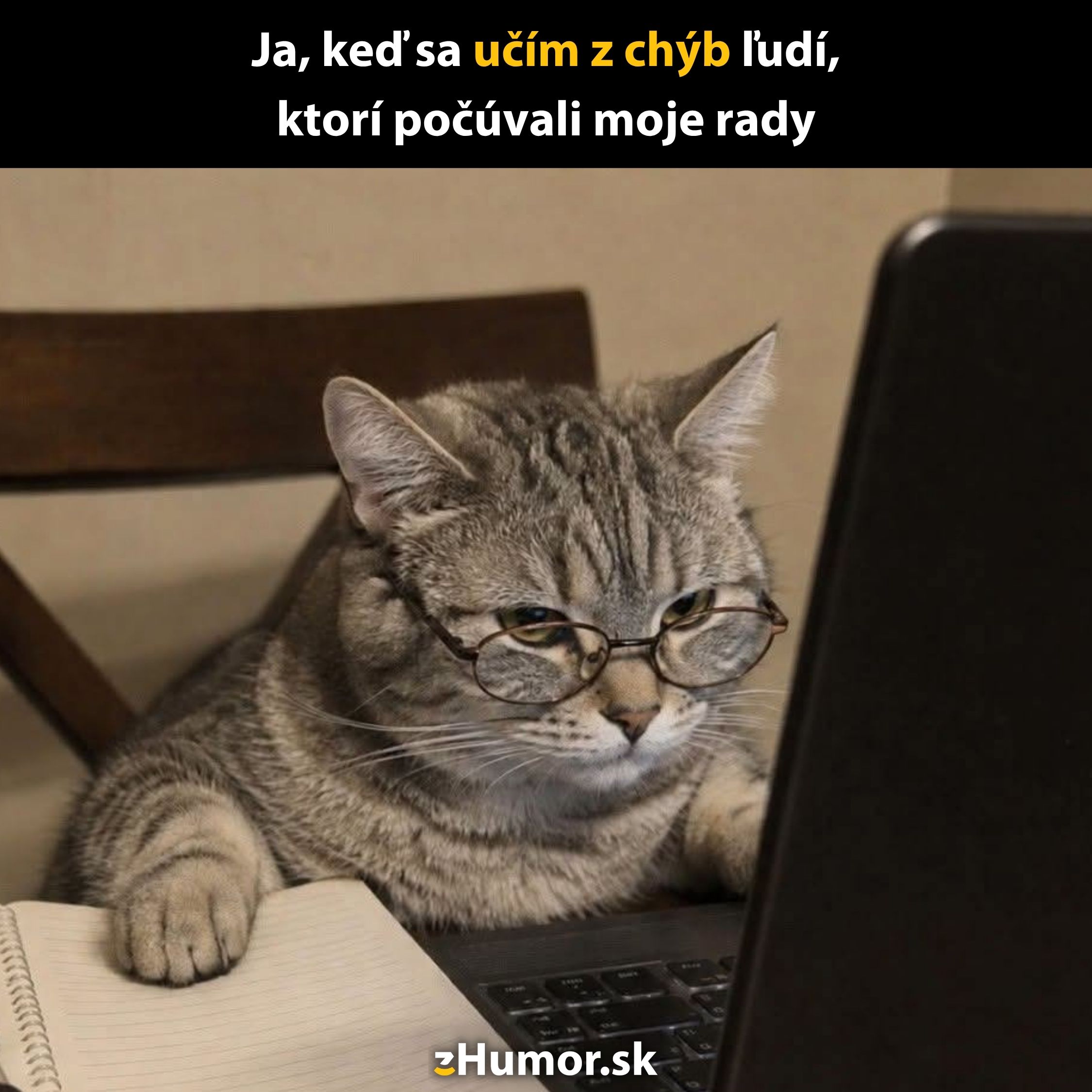 Mačka v okuliaroch sústredene pozerá do notebooku vedľa notesa, obrázok s humorným textom na tému učenia z chýb.