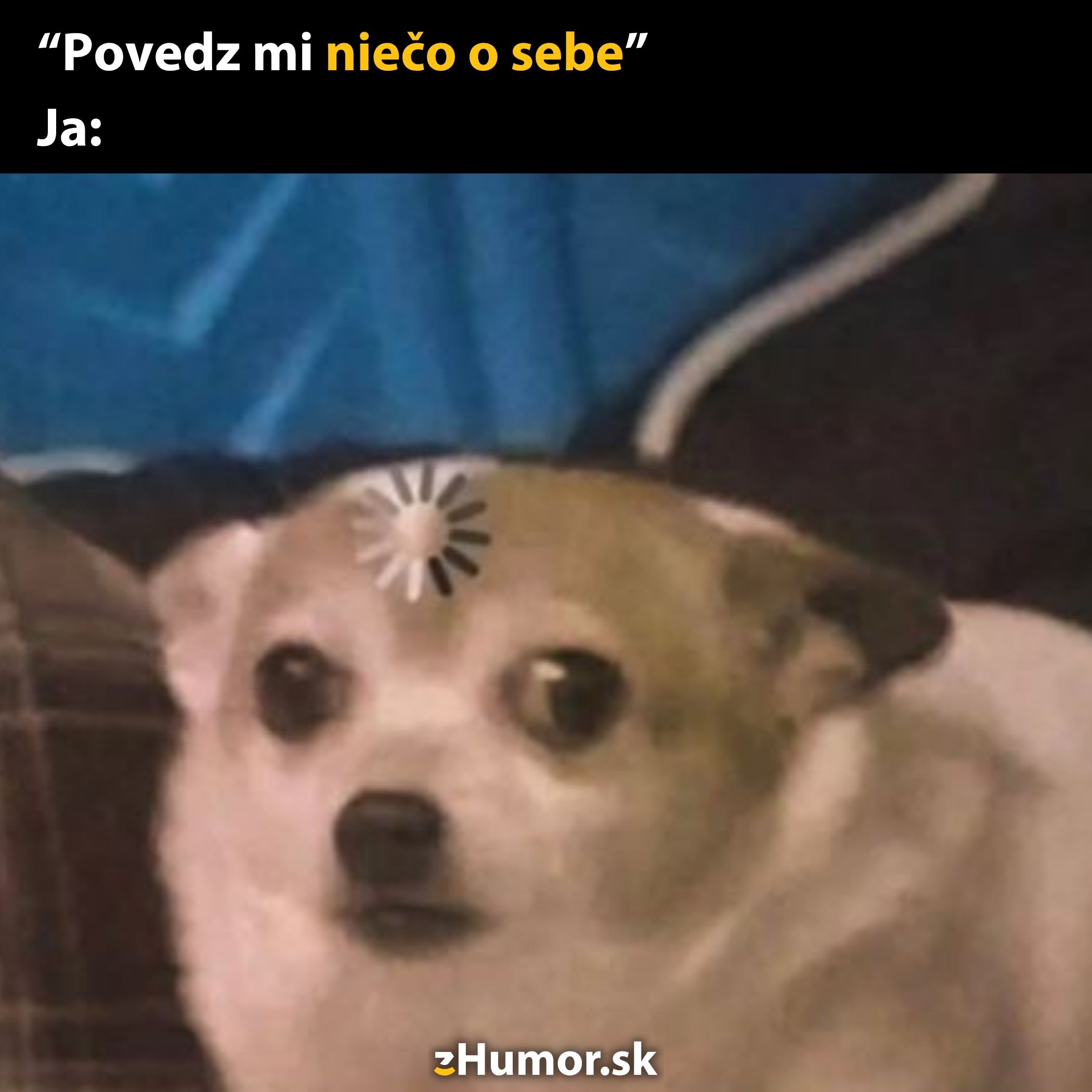 Pes s výrazom zmätku s ikonkou načítania na čele, text: Povedz mi niečo o sebe. Ja:.