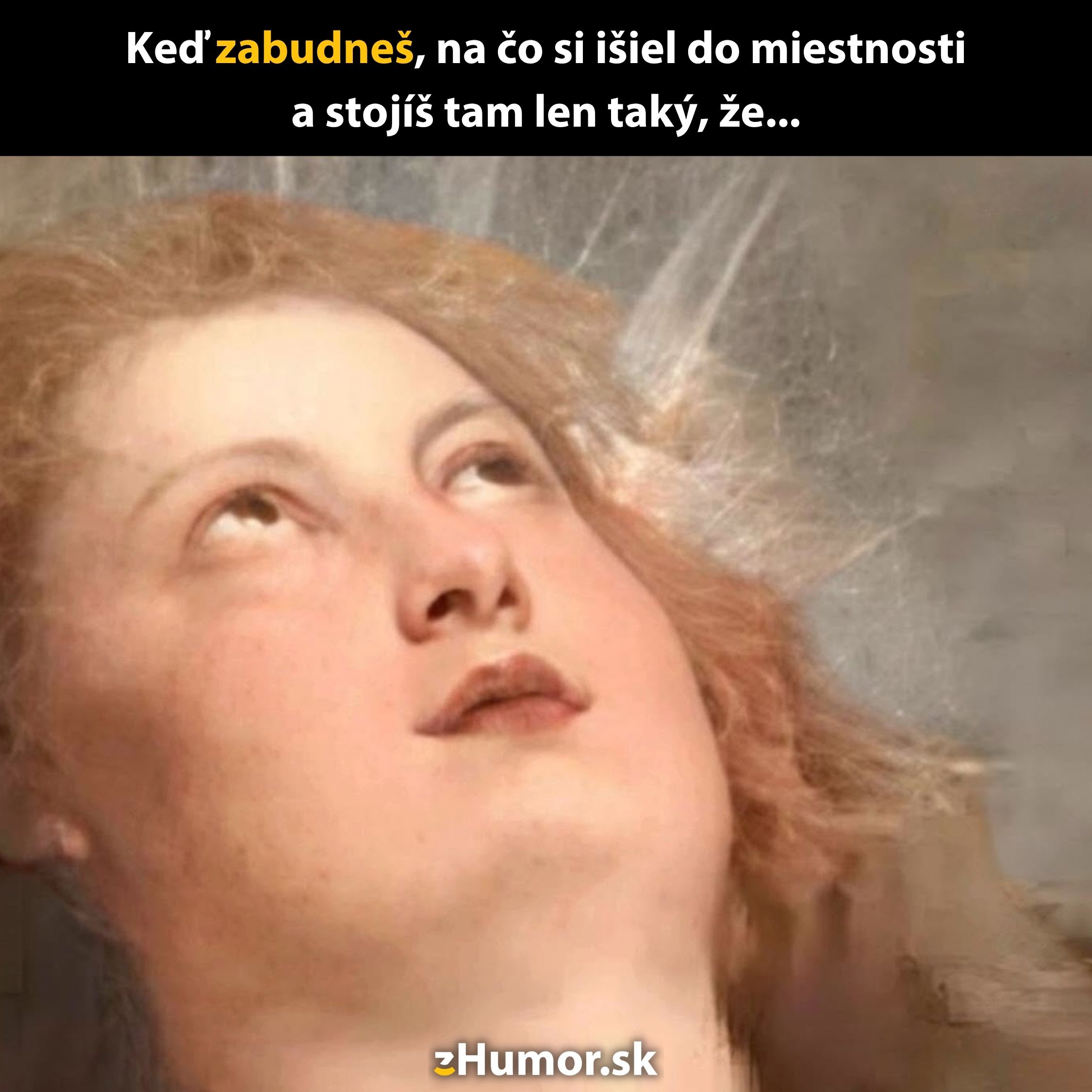 Obrázok ženy s výrazom prekvapenia a textom o zabudnutí účelu príchodu do miestnosti.