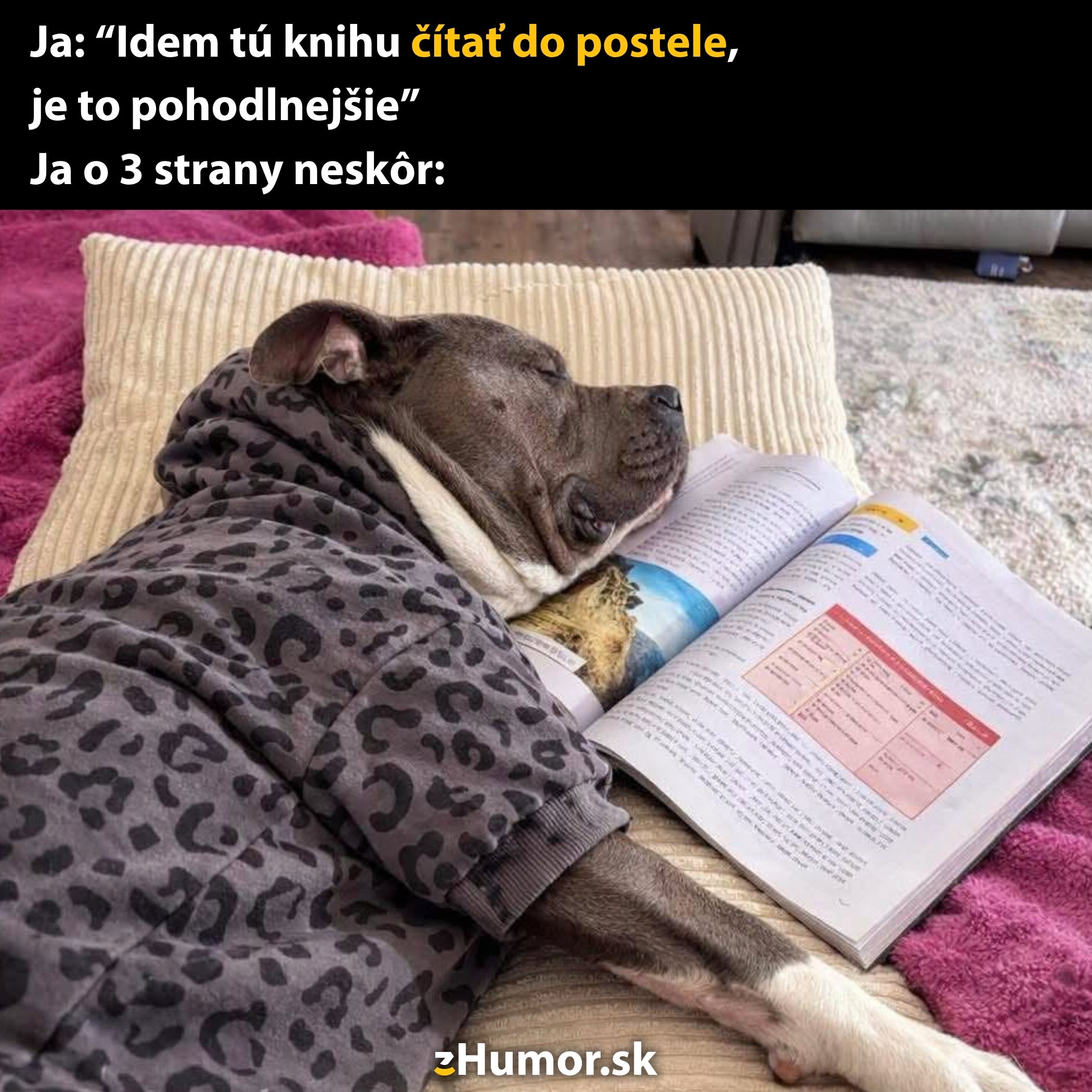 Pes v mikine spí na posteli s otvorenou knihou pod hlavou, vtipne ilustrujúc pohodlné čítanie.