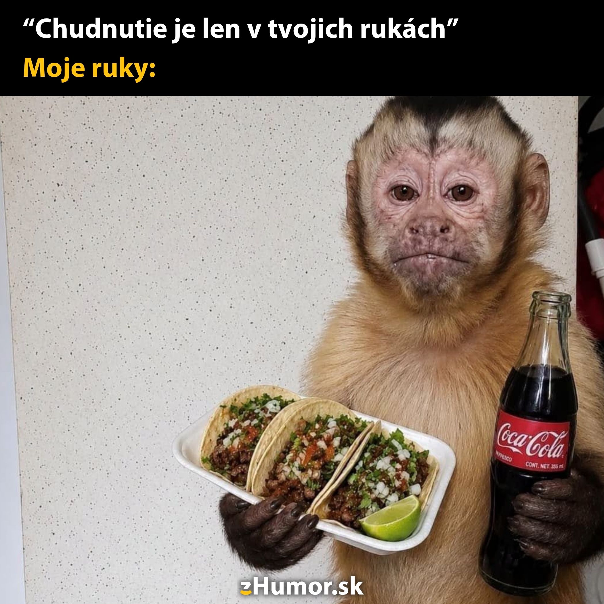 Opica držiaca taniere s tacos a fľašou koly - vtipná ilustrácia o chudnutí a jedle.