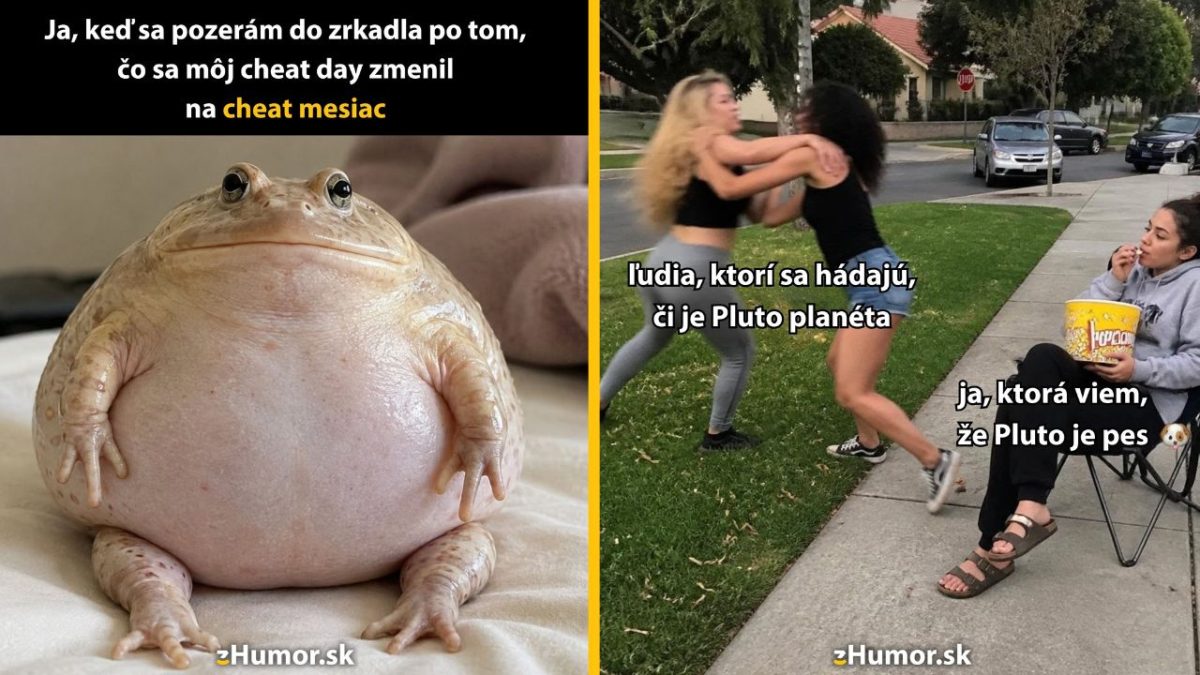 Žaba kritizuje diétu, ženy sa hádajú o Plute, tretia si užíva popcorn. Humor a irónia o životných situáciách.
