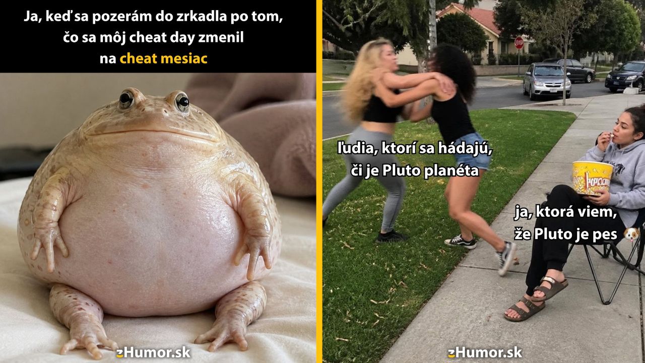 Žaba kritizuje diétu, ženy sa hádajú o Plute, tretia si užíva popcorn. Humor a irónia o životných situáciách.