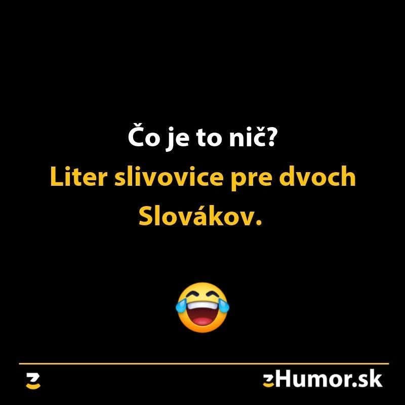 Vtipný obrázok s textom o tom, čo znamená nič: liter slivovice pre dvoch Slovákov s usmievajúcim sa emoji.