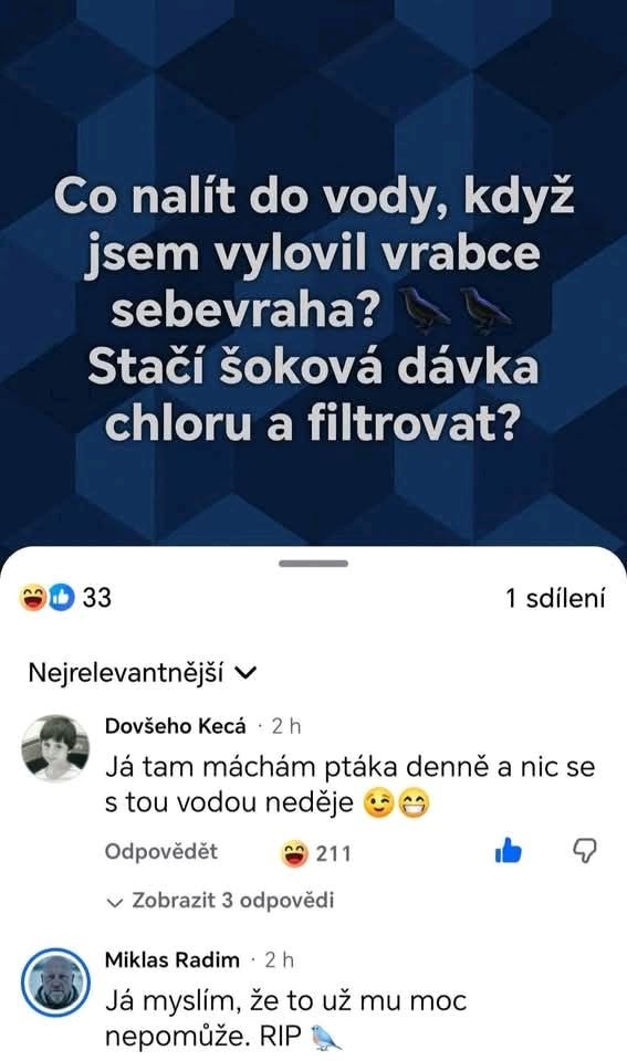 Vtipná diskusia na tému o čistení vody a starostlivosti o vtáky s humorom a narážkami.