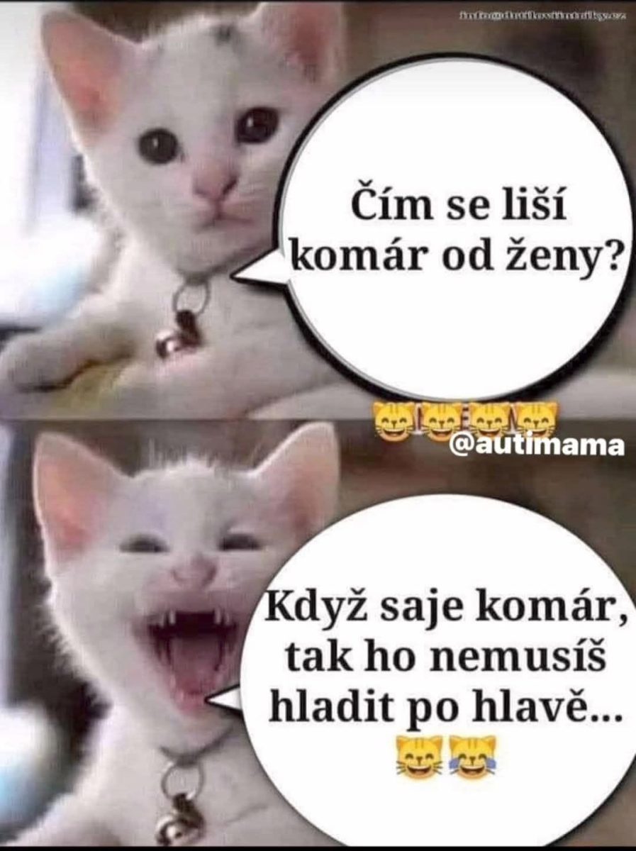 Meme s bielou mačkou s vtipným textom o rozdiele medzi komárom a ženou, doplnené emoji mačky.