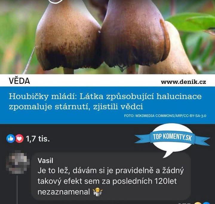 Jeden komentár reagujúci na článok o halucinogénnych látkach v hubách, ktoré vraj spomaľujú starnutie.