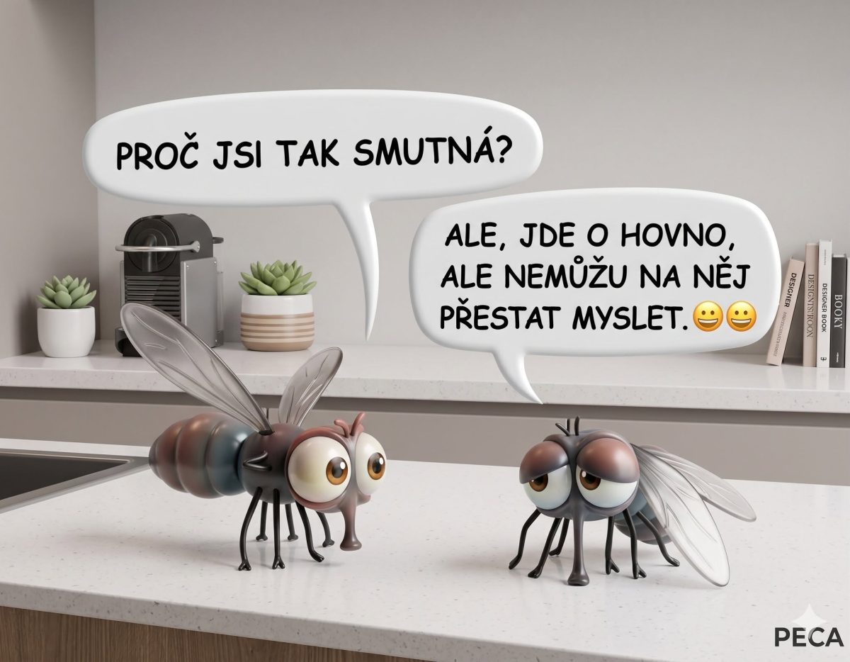 Dve kreslené muchy sa rozprávajú v kuchyni. Jedna vysvetľuje, prečo je smutná, s humorným textom v češtine.